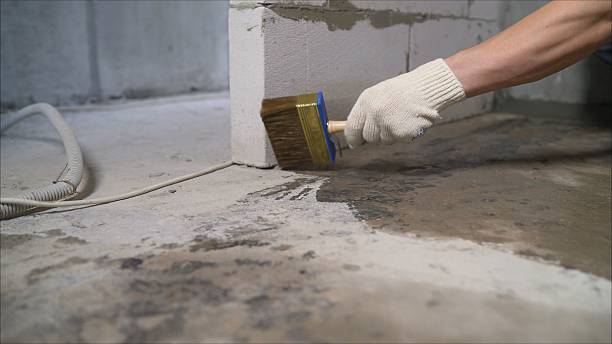 Crawl space vapor barrier installation in DeWitt, MI